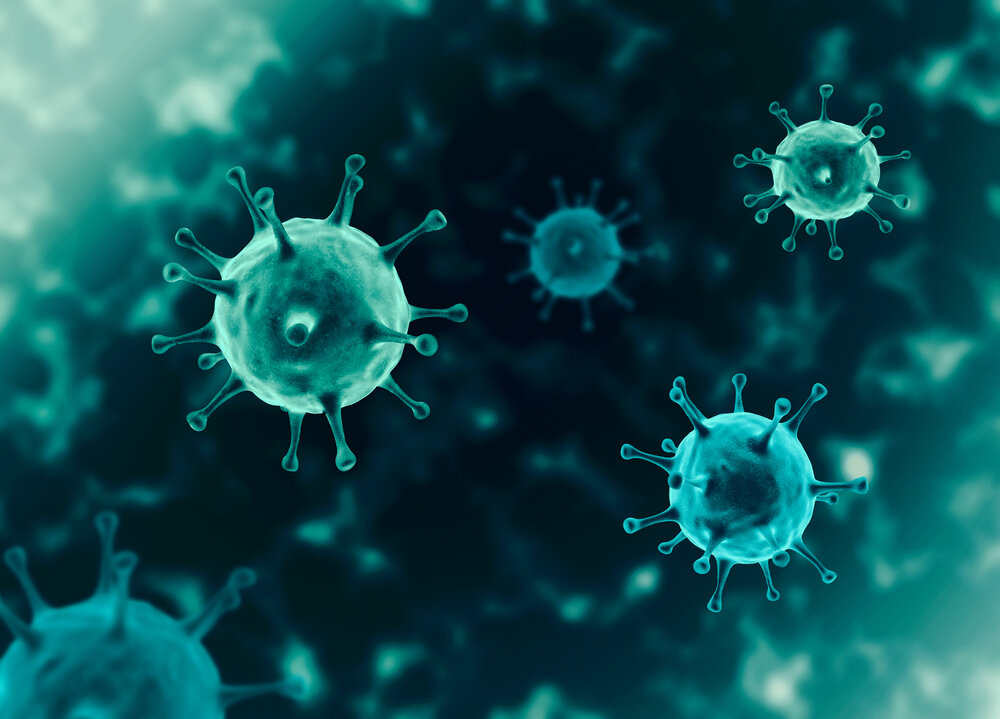 Kadal 156 : Bakteri vs Virus: Mana yang Lebih Mematikan?