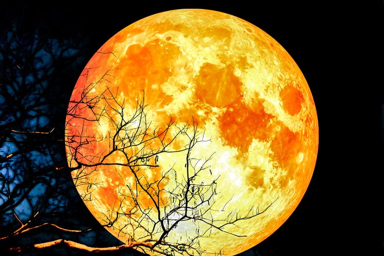 Fenomena bulan super merah (super blood moon) di indonesia